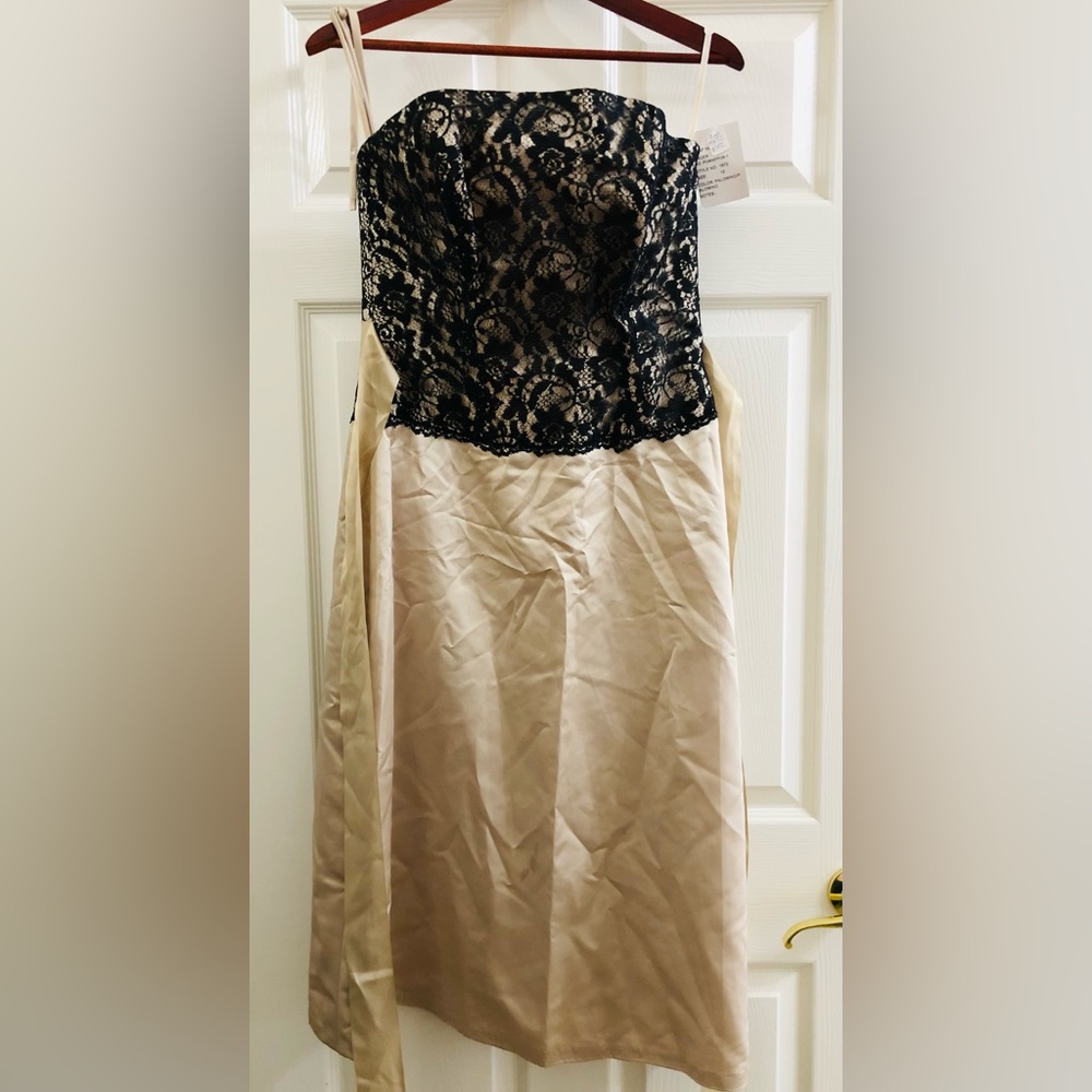 Impressions Brand #1672 Palomino Champagne Formal Dress Black Lace Size 10
